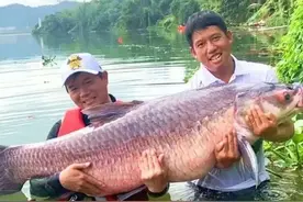 打假钓鱼圈隐藏的六种虚假渔获！揭开它背后的真实面目图片