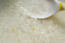 月子期间为什么要喝米酒？2大好处要知道，切记不可用酒代替图片