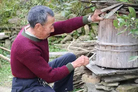 大爷养蜂酿蜜六十年，能听懂蜜蜂“说话”，三餐不离酒和蜂蜜图片