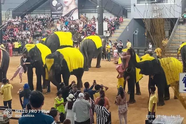 文苑 | 醉游“泰、新、马”三国