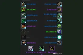 魔兽世界怀旧服，盗贼自然抗筹备，现阶段+P5开始图片