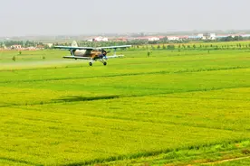 “江西魅力乡镇十强”出炉，你的家乡入选了吗？图片