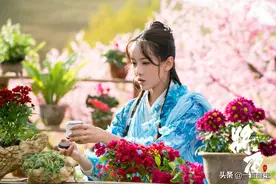 古装玄幻剧——《将夜》图片