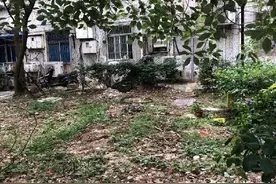 宁波老旧小区今后三年这样改造！快看看你有没有你家图片