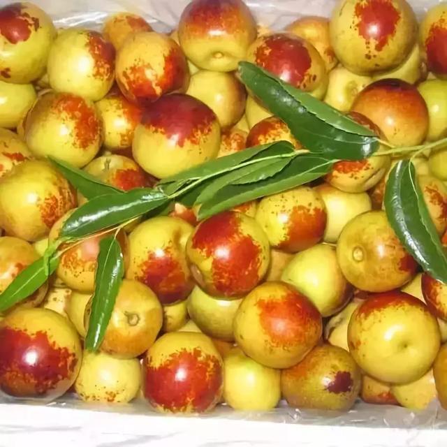 渭南有这十三种特产，你都知道吗？