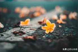 “人若害你，天必救你”：受到福气庇佑的人，往往是这3类人图片