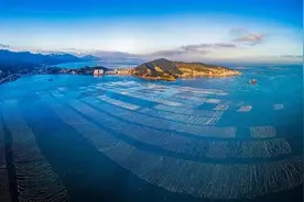 振奋！40亿资金即将注入筱埕图片