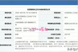 7月开工！世茂汉阳滨江300米地标，10万方商业获省水利厅批复图片