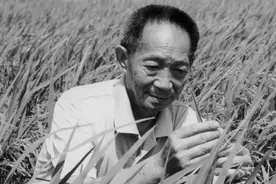 沉痛悼念！袁隆平逝世，追忆他与广东的不解之缘图片