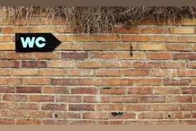 散文：农村的土厕所图片