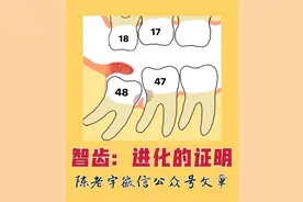 智齿：进化的证明图片