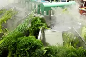 蔬菜货架加湿设备在超市的应用图片