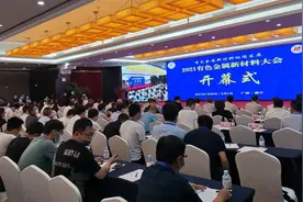 2021有色金属新材料大会在南宁举办 张自英副市长在开幕式上致辞图片