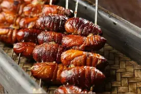 买蚕蛹，选黄色还是黑色的？老板教你挑选，蚕蛹新鲜美味，营养高图片