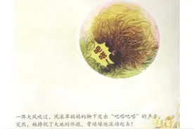 风滚草和扫帚菜不是同一种植物，你知道吗？图片