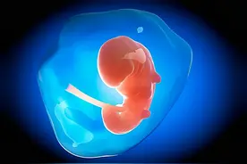 怀孕一个月宝宝什么样？准妈妈应该做哪些准备？哪些是要注意的？图片