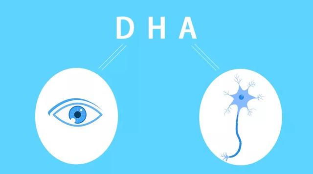 DHA琛ヤ笌涓嶈ˉ锛屾櫤鍔涖€佽鍔涖€佽瑷€鏂归潰鐨勫樊鍒珶杩欎箞澶э紵