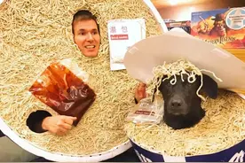 主人给狗狗们穿的万圣节装扮看着特别馋人，有奶茶泡面还有小笼包图片