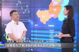 威海供电公司上线《直通12345》：直面问题，给群众满意答复图片