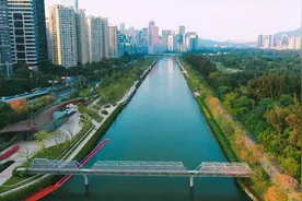 从污水横流到水清岸绿：深圳大沙河水质达20多年来最好水平图片