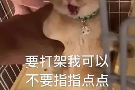 沙雕表情包：原来你上网课也睡觉耶图片