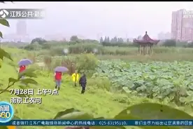 南京老党员志愿者防汛有“三大宝”：打狗棍、钉耙、小红旗图片