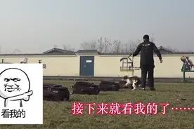 嘿，你的缉毒犬“益达”！不，是守护大家禁毒安全的“益达”！帅！图片