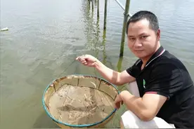 广东小伙养虾屡败屡战，找到妙招后产量翻10倍，一年卖1000多万图片