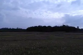 莫道百尺是尽头图片