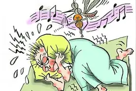 夏季蚊虫叮咬真难受！别让蚊虫天天给你发红包！图片