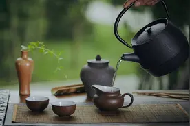 武夷肉桂之“全肉宴”，你知道多少？图片