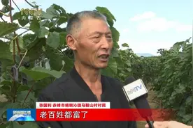百年梦圆 小康答卷 | 乡村振兴 奔向幸福的脚步图片