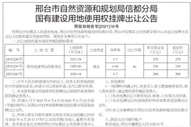 信都区出让3宗商业用地及1宗住宅用地图片