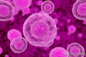 研究人员在细胞层面拍摄基本生命过程图片