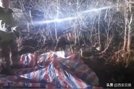 进村伤人的东北虎醒了，在笼中凶猛咆哮！它将何去何从？提取基因判断来源→图片