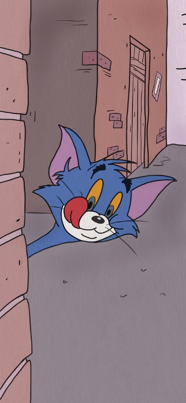 猫和老鼠壁纸｜幸福就是猫吃鱼狗吃肉，奥特曼打小怪兽