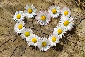 女人给你一些东西，其实是在暗示你，她不爱你图片