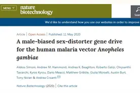 灭蚊“黑科技”还是生态“大杀器”？新技术可使蚊子只生产雄性后代，从而消灭蚊群！图片