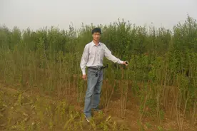 无地农民可申领养老金？没有土地怎么办？两类无地农民可领养老金图片