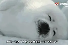 （视频）@太原人！真的不是我不想和被窝分开，起不来是有原因的图片