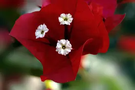 写给2021年：往事清零，未来可期图片