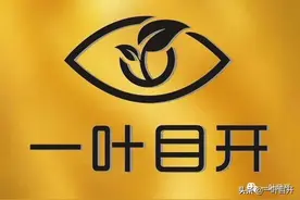 上海“一般家庭”的现实版升学之路图片