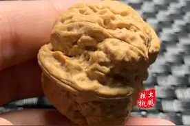 小众文玩核桃的品种类别——这6款你值得拥有图片