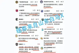 南宁“白马后裔”寻根新思考(之五)图片
