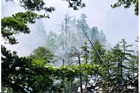 用《骁》的方式打开漳县！图片