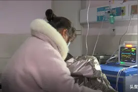 危急！食物卡在宝宝气管，半夜做手术紧急取出图片