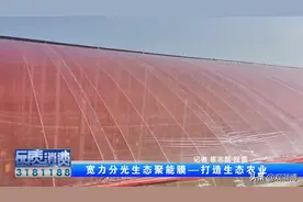 不靠农药，就靠它！能减虫害、早开花、多座果、增产量……图片