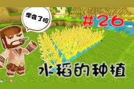 迷你世界江叔生存指南26：简单的水稻种植，这你都不会？