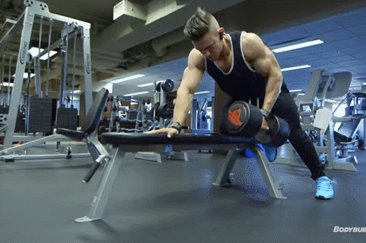 什么是蛋白质？什么是碳水化合物？什么是脂肪？怎么吃？