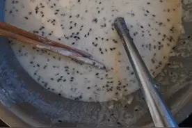 尝尝家乡饼图片